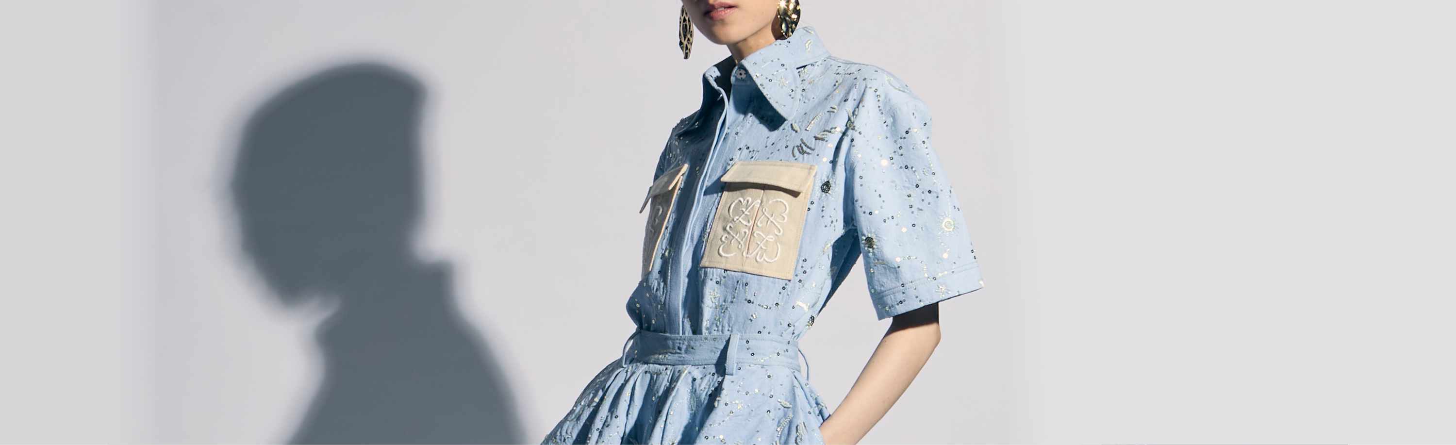 Night Butterfly Summer 25